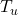 {T_u}